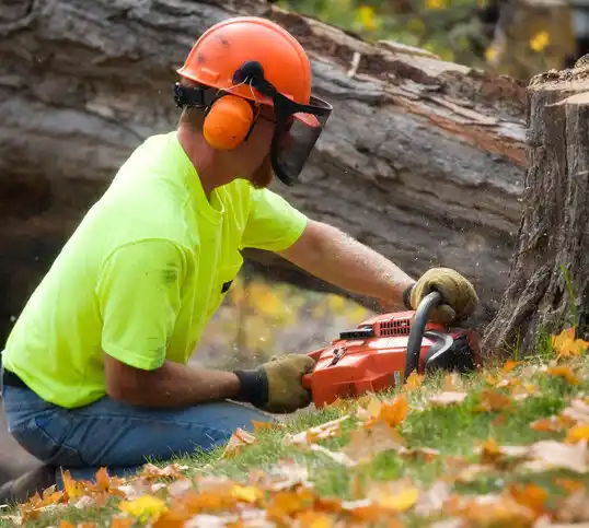 tree services Dumas